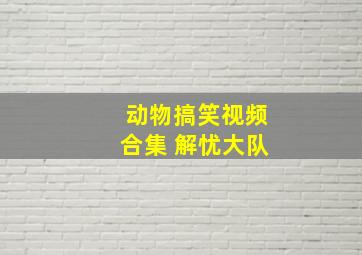 动物搞笑视频合集 解忧大队